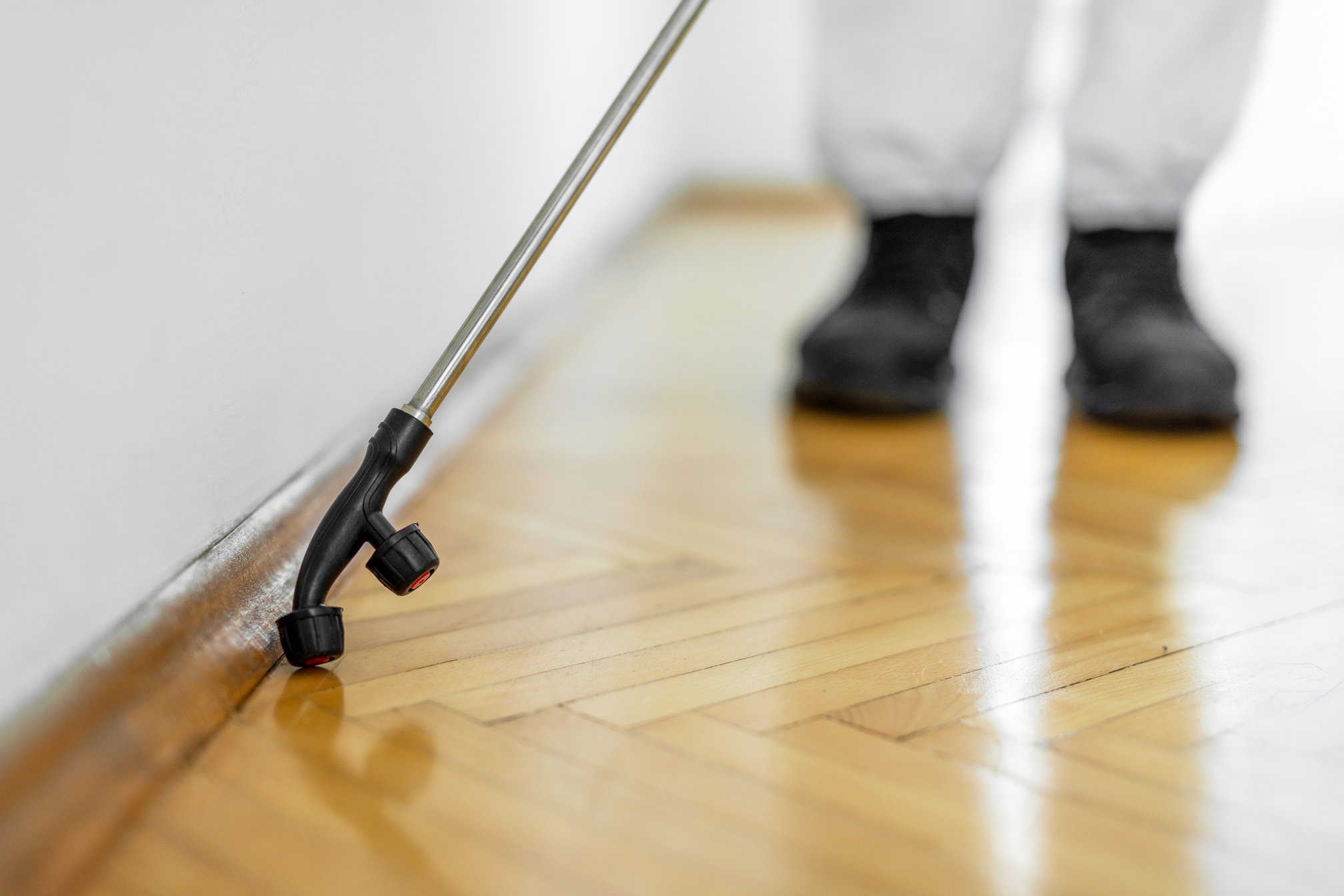 Pest control worker spraying pesticide